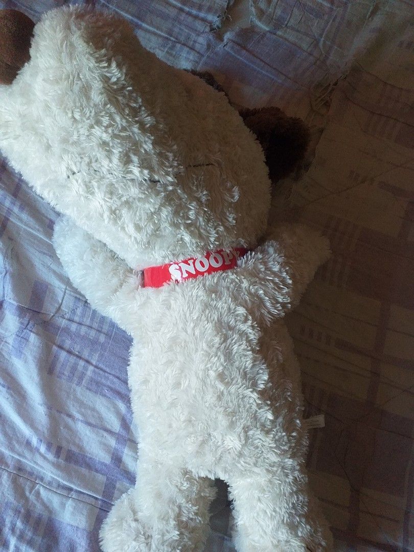 65cm SNOOPY Cuddle Toy 450 (Category: Plushies & Soft Toys) located in San Pablo. Submitted by kanyeee (Listing ID 1270318206, Image 3). Description: Get nyo na, perfect christmas gift for your loved one. Never ginamit actually, naka-display lang sa corner ng kwarto. Originally bought in Japan. May tawad pa sa sure buyer. Delivery through flash only..