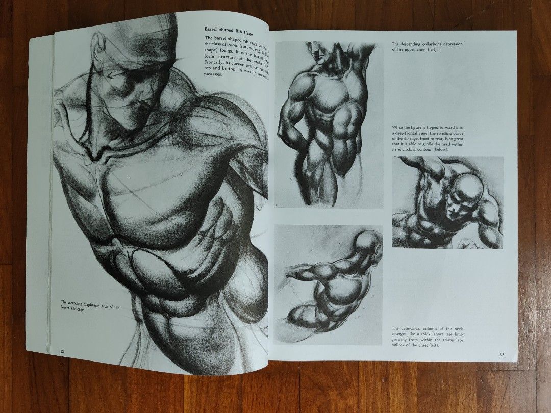 Art Book: Dynamic Figure Drawing, Hobbies & Toys, Books & Magazines ...