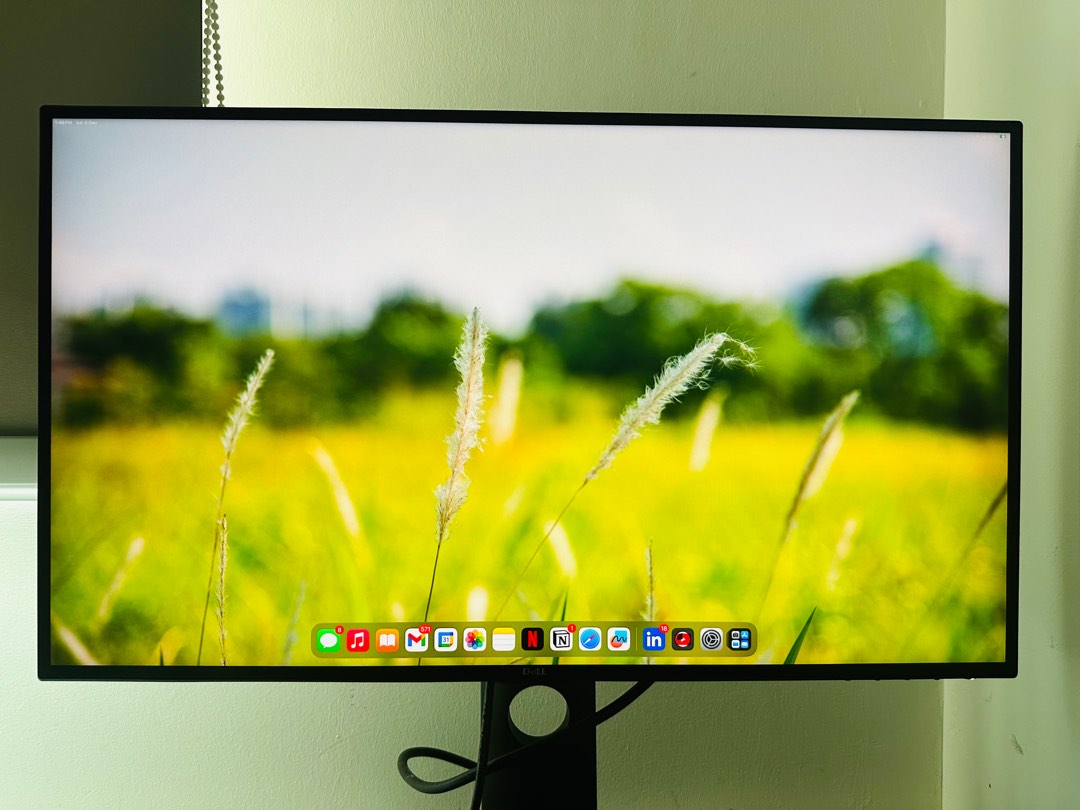 Dell UltraSharp 25 Inch USBC Monitor U2520D, Computers & Tech, Parts