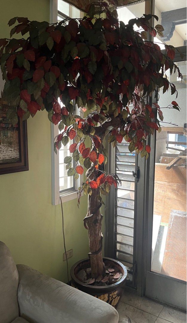 Fake indoor plants, Furniture & Home Living, Home Decor, Other Home