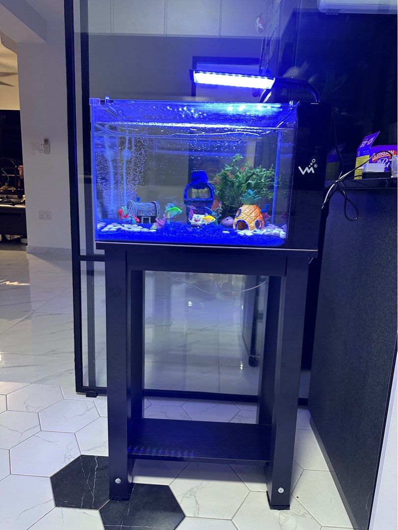 Fish tank set, Pet Supplies, Homes & Other Pet Accessories on Carousell