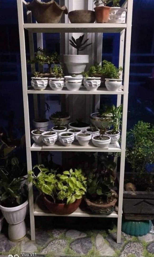 LERBERG Metal Shelf Ladder Style Rack 4 Layer (Category: Looking For) located in Manila. Submitted by redonlineshop (Listing ID 1270254646, Image 3). Description: LERBERG Metal Shelf Ladder Style Rack 4 Layer ₱1300 🔸️Material: Carbon Steel 🔸️Color: White 🔸️Max Load / Shelf: 10kg BRAND NEW ONHAND and Ready to Deliver Accept Gcash payment/COD Same day delivery + SF.