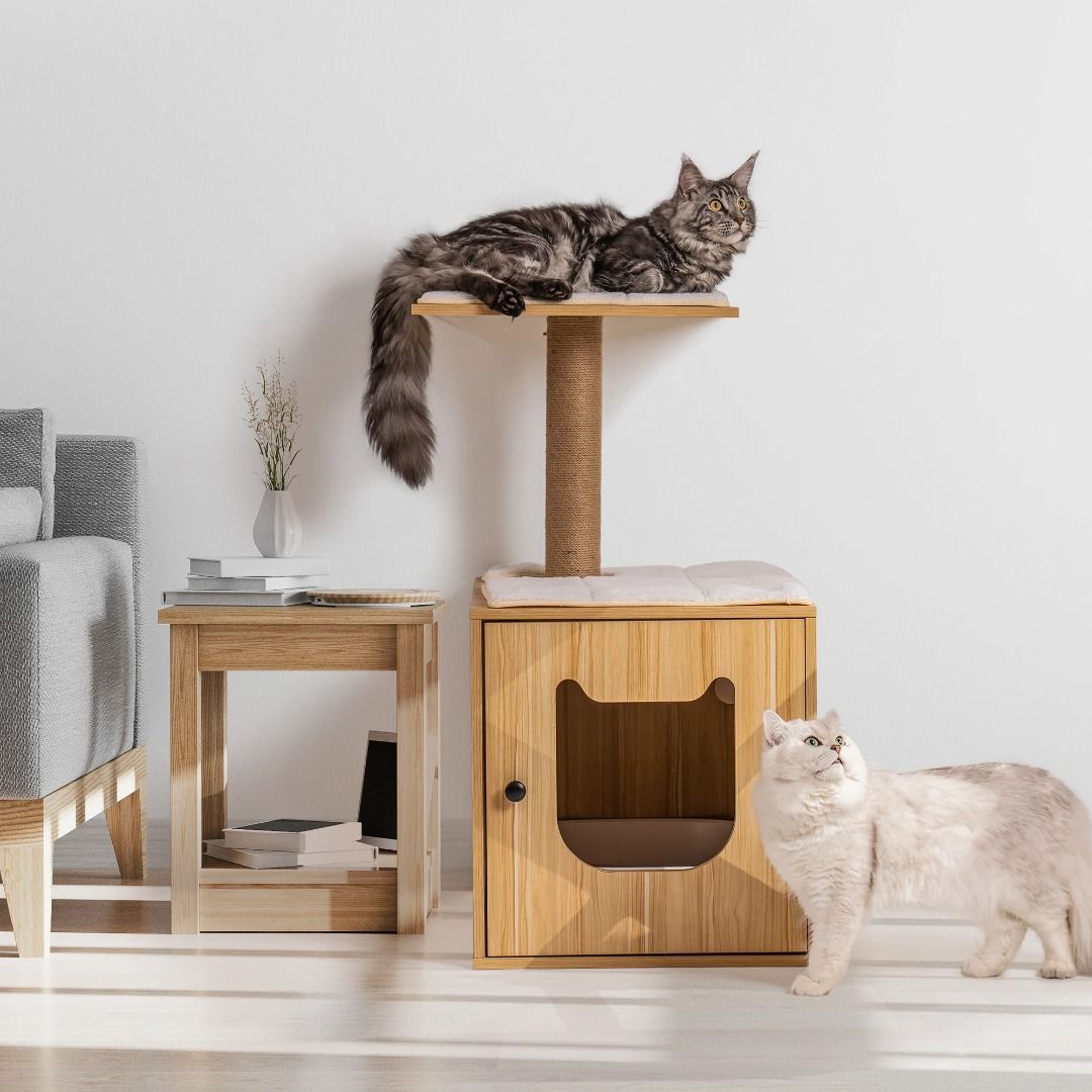 Hidden cat discount bed