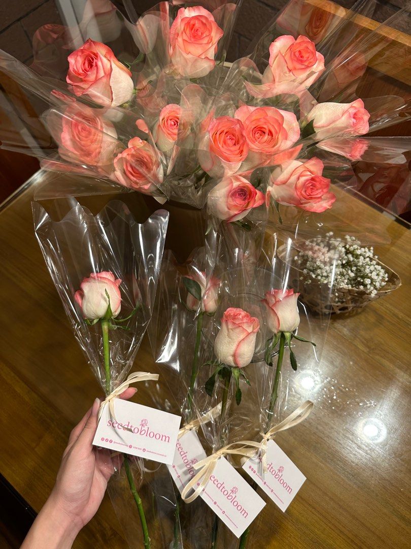 Single Stalk Rose | Bulk Roses For Gifting, Hobbies & Toys, Stationery ...