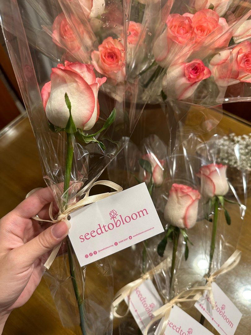 Single Stalk Rose | Bulk Roses For Gifting, Hobbies & Toys, Stationery ...