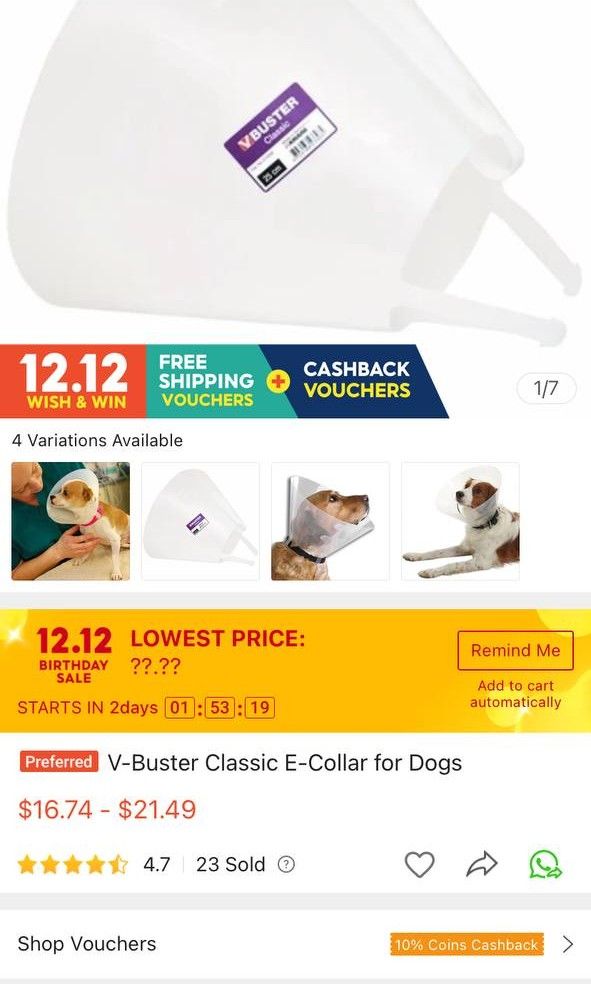 V buster dog collar classic on sale