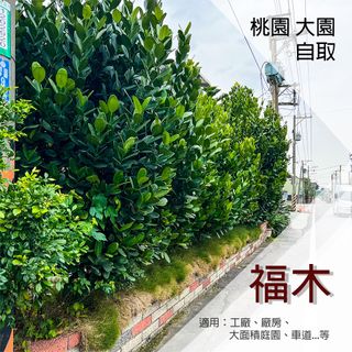 由 bkzn100 (刊登 ID 1212661831，圖片 1) 提交，位於 的 (類別：)，說明：。