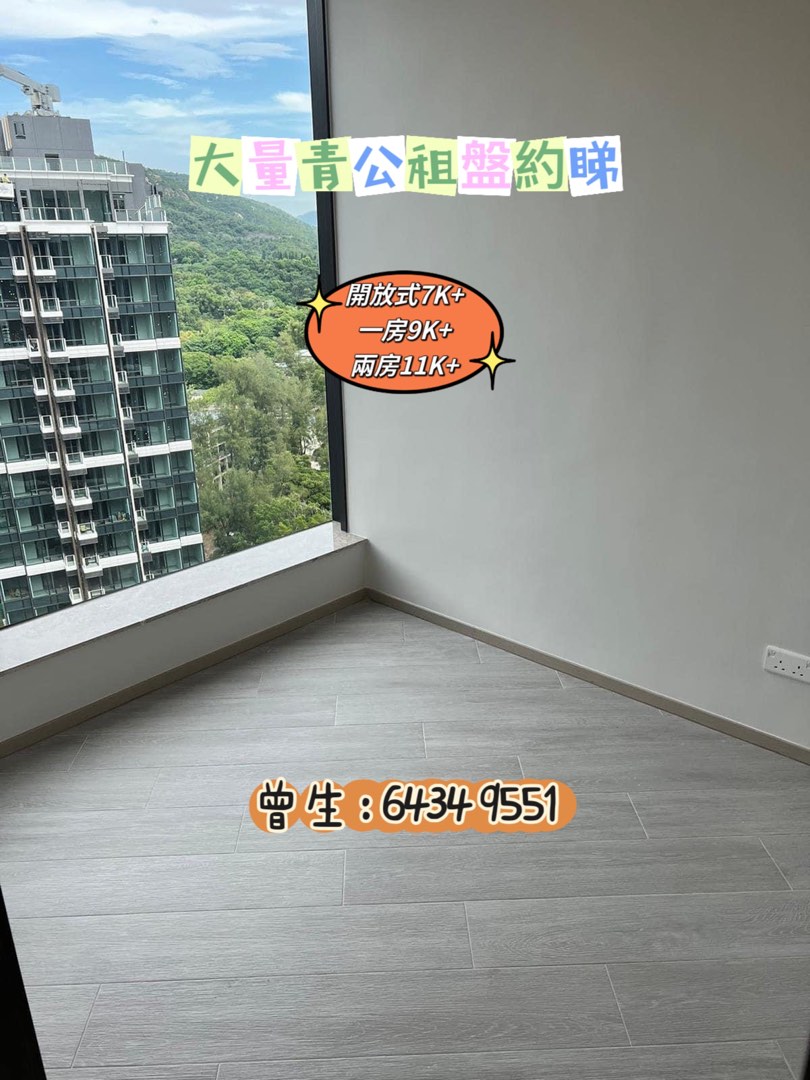 帝御星濤 帝御嵐天 帝御金灣 青公新盤(放租)64088819415170113