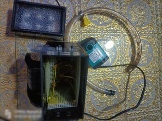 (Category: ) located in . Submitted by annanntan (Listing ID 1212795762, Image 1). Description: .