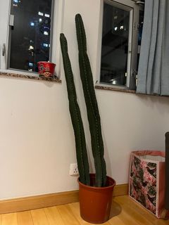 （分類：）位於 。 由 anthony04203 提交（商品編號 1212776173，圖片 1）。簡介： 。