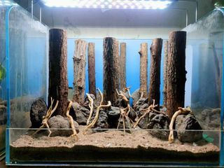 Customise forest scape for aquarium