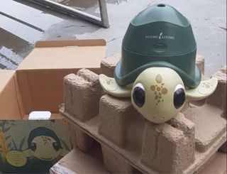 Diffuser young living shell