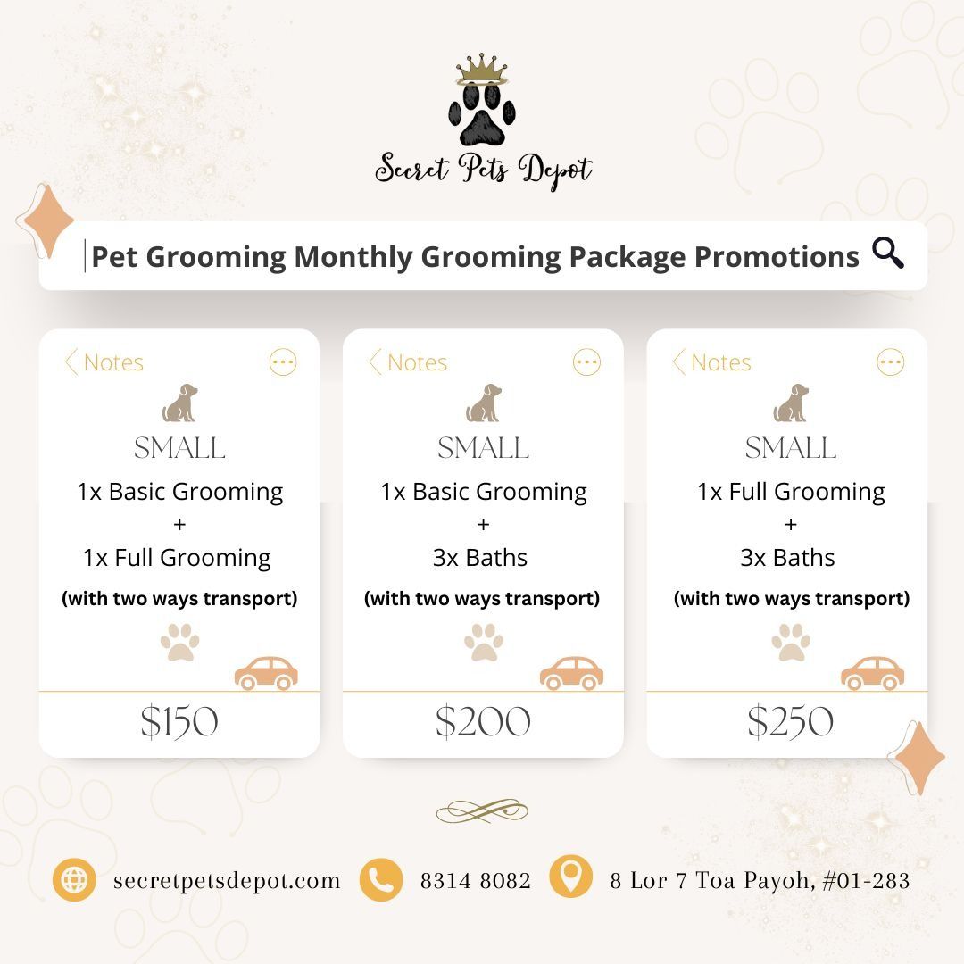 Dog Grooming Monthly Promotion