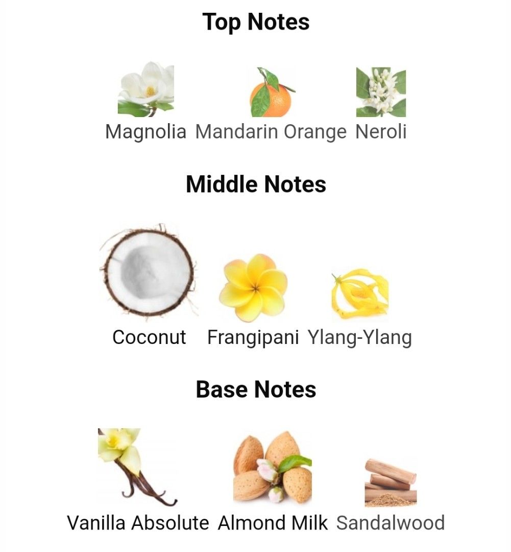 Dolce and gabbana garden notes clearance