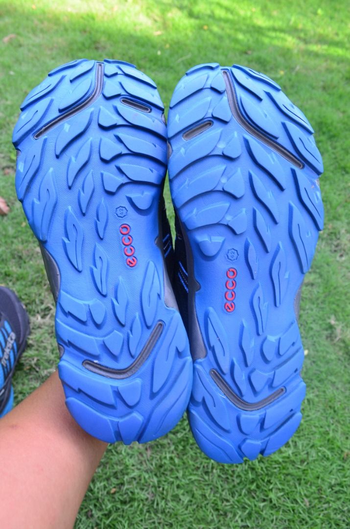 ecco trail shoes