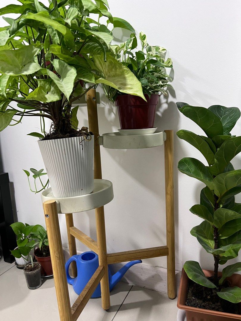 Ikea Satsumas Plant Stand, Furniture & Home Living, Gardening