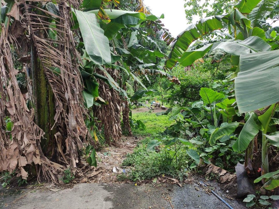 LOT FOR SALE LANGGAM SAN PEDRO LAGUNA NEAR NEW SM SAN PEDRO