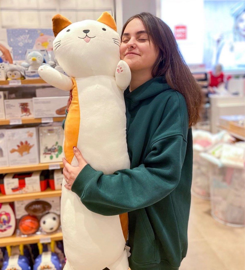 Miniso cheap cat pillow