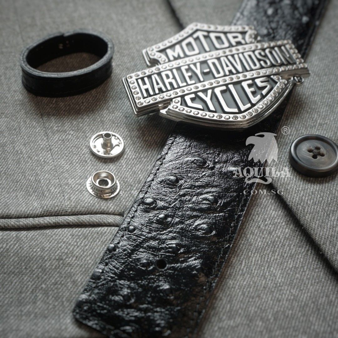 Harley davidson buckle belt shop