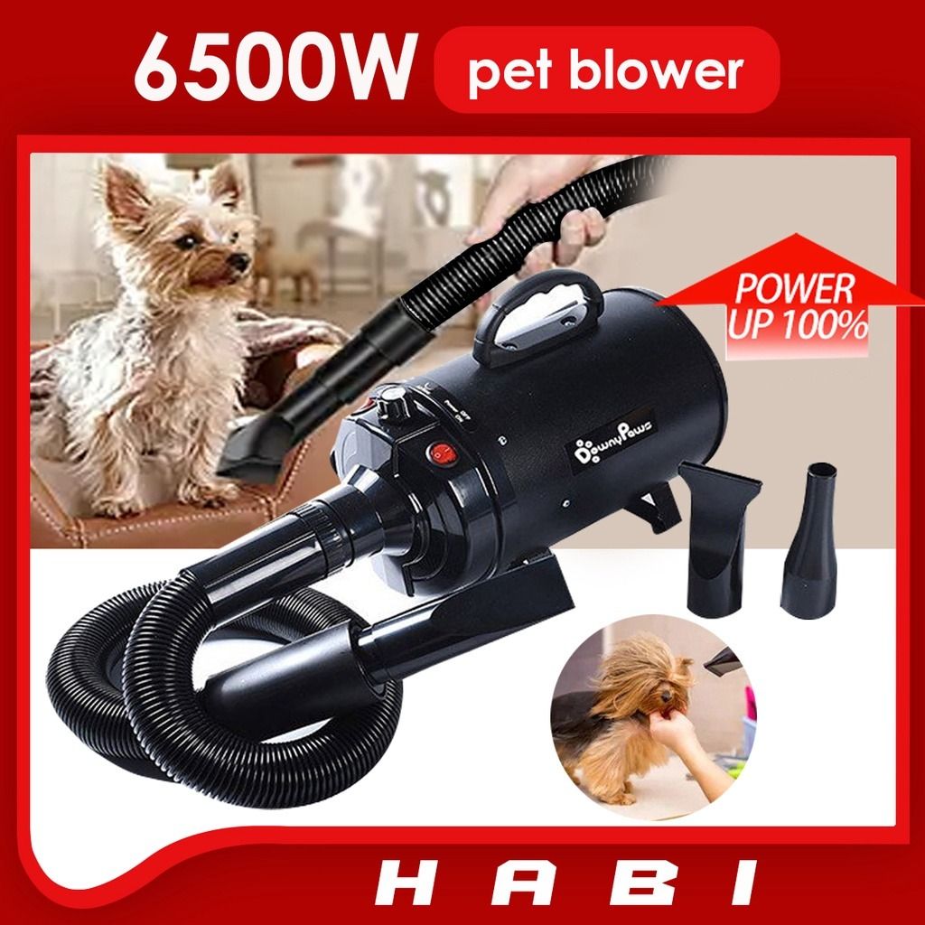Water blower for dogs sales