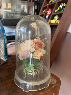 Preserved Flowers