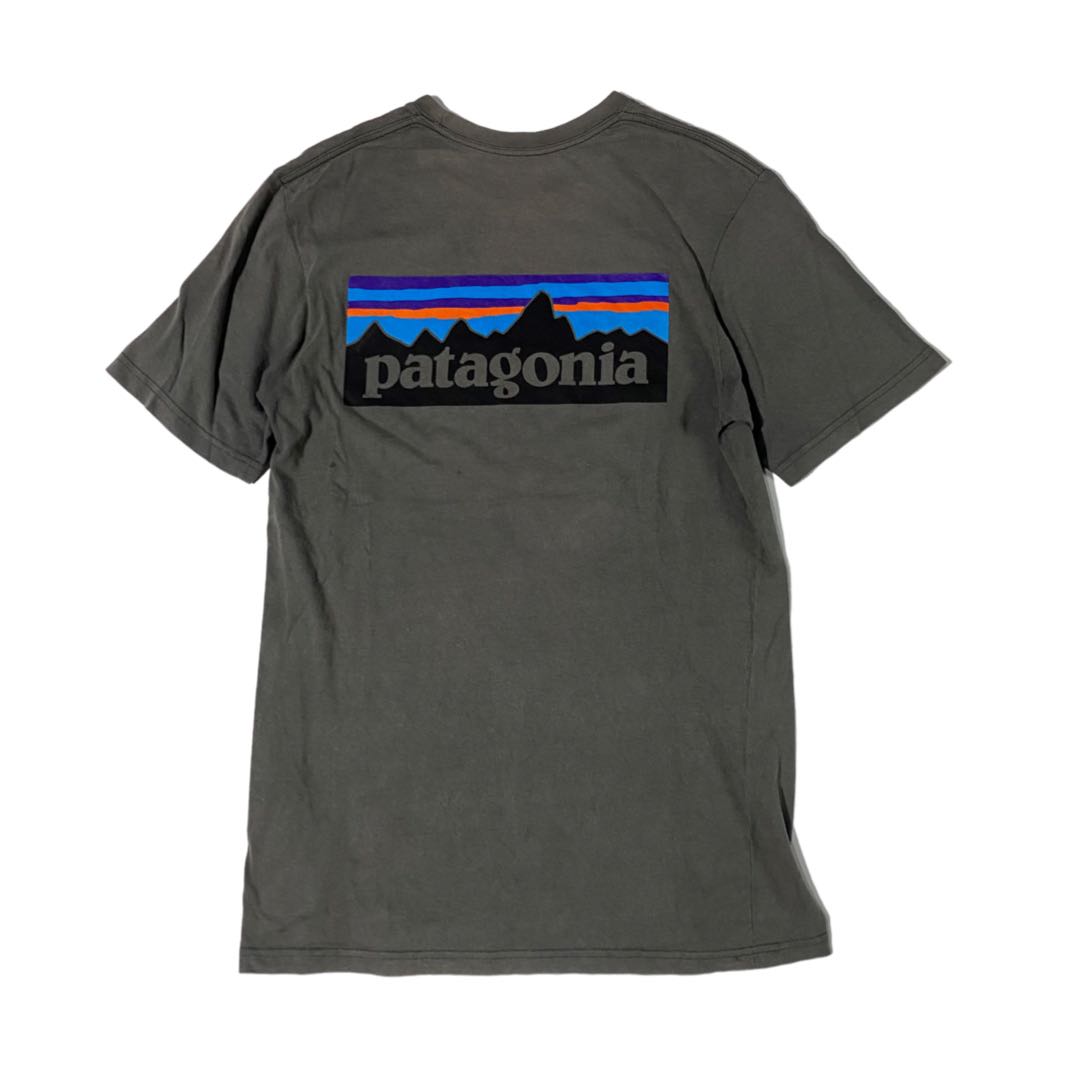 Ts patagonia