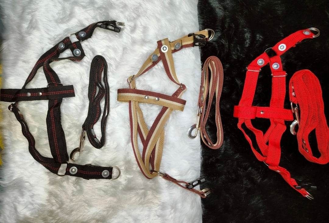 Heavy Duty Dog Leash with Body Harness(S, M, L, XL) (Category: Homes & Other Pet Accessories) located in Taguig. Submitted by emzpetsupplies24 (Listing ID 1214405170, Image 3). Description: PRICE LIST per sizes : Small : Php 115 Medium : Php 125 Large : Php 145 Dog Leash with harness Dog Leash heavy duty Dog Leash Adjustable *Small* Leash Length: 95cm Width: 1.5cm Body Length: 38cm *Medium* Leash Length: 101 Width: 2cm Body Length 44cm *Large* Le