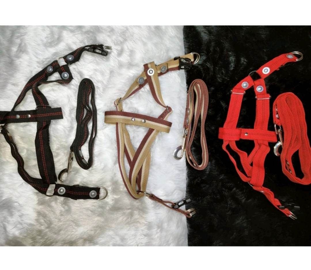 Heavy Duty Dog Leash with Body Harness(S, M, L, XL) (Category: Homes & Other Pet Accessories) located in Taguig. Submitted by emzpetsupplies24 (Listing ID 1214405170, Image 2). Description: PRICE LIST per sizes : Small : Php 115 Medium : Php 125 Large : Php 145 Dog Leash with harness Dog Leash heavy duty Dog Leash Adjustable *Small* Leash Length: 95cm Width: 1.5cm Body Length: 38cm *Medium* Leash Length: 101 Width: 2cm Body Length 44cm *Large* Le
