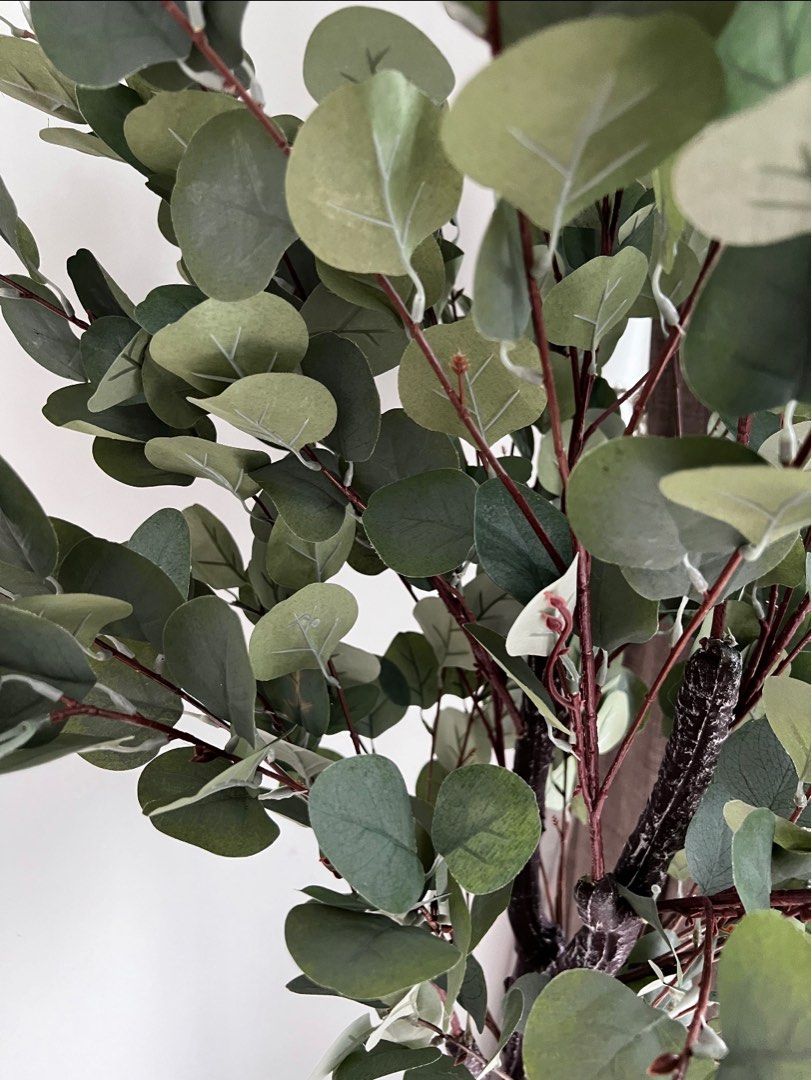 Large Artificial Eucalyptus Plant 180cm, Furniture & Home Living, Home