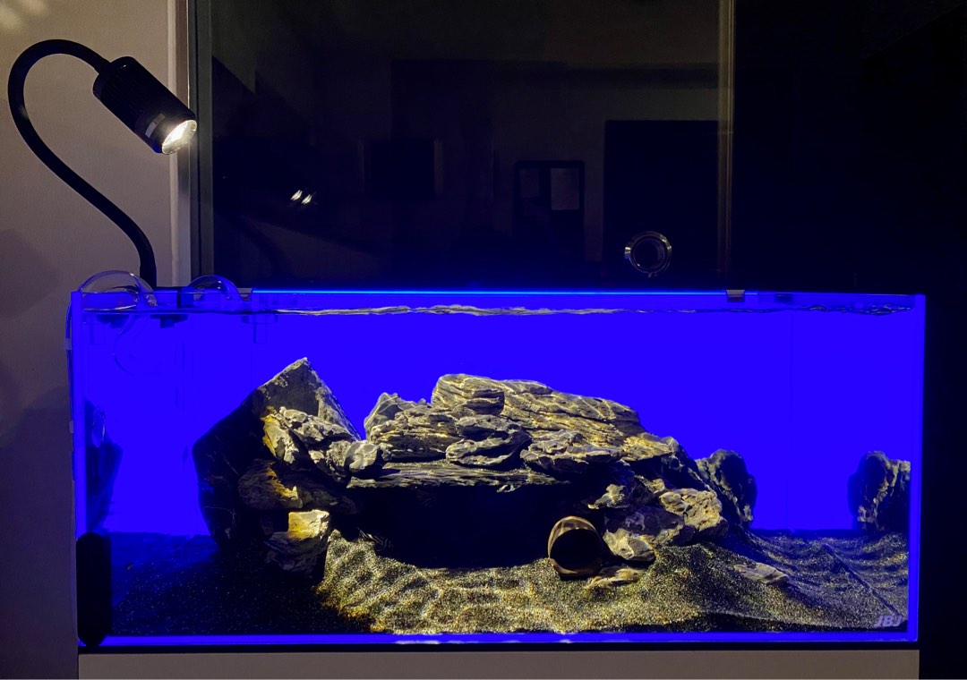 RGB led background light for aquarium tank 60cm x 35cm, Pet Supplies