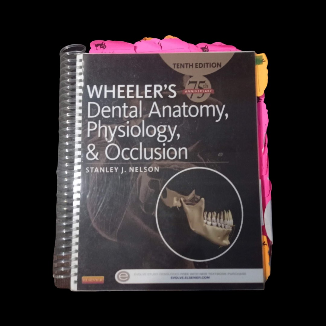 Wheeler's Dental Anatomy, Physiology & Occlusion (10th Edition