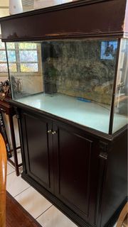 (Category: ) located in . Submitted by nurinbat (Listing ID 1214395735, Image 1). Description: .