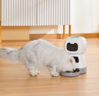 (Category: ) located in . Submitted by bunnyrabbits (Listing ID 1214625530, Image 1). Description: .