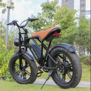 750W 20in Electric Bike City Mountain Snow Ride Bicycle E-Bike Off Road Ebike US