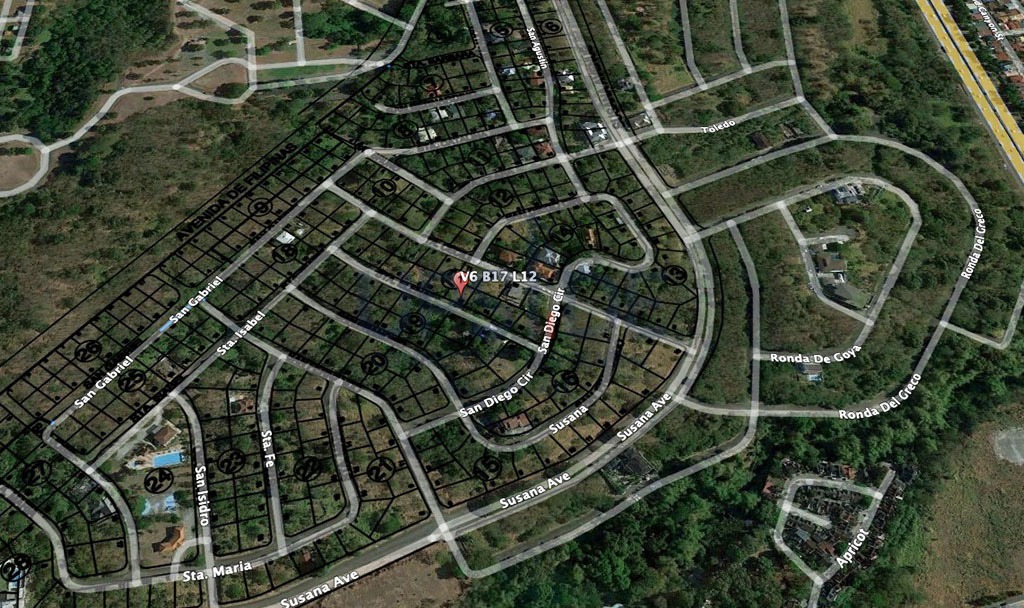 INDUSTRIAL COMMERCIAL LOT FOR SALE san pedro nr san pedro exit south