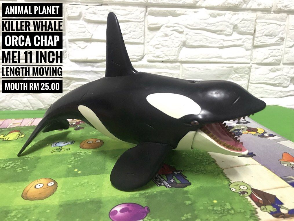 Animal Planet Killer Whale Orca Chap Mei