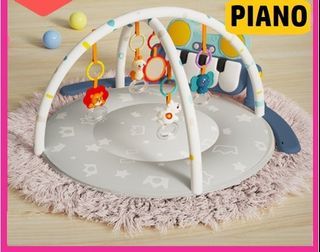 Baby Play Gym