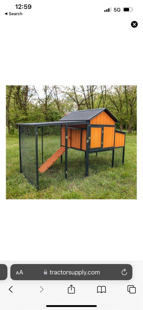 Chicken coop, Pet Supplies, Homes & Other Pet Accessories on Carousell