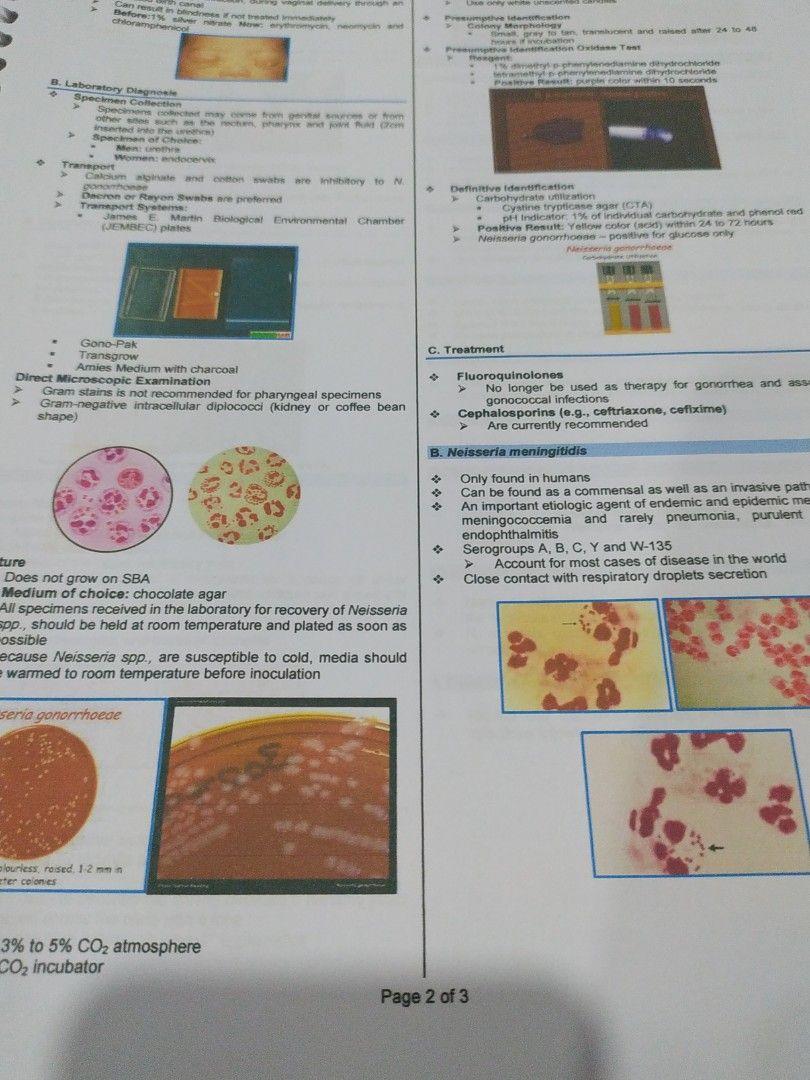 Clinical Bacteriology Trans BACT211 OLFU Val, Hobbies & Toys, Books