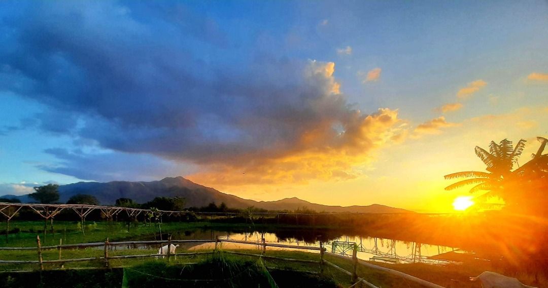 Farm lot for sale at San Antonio, Zambales with mango trees and