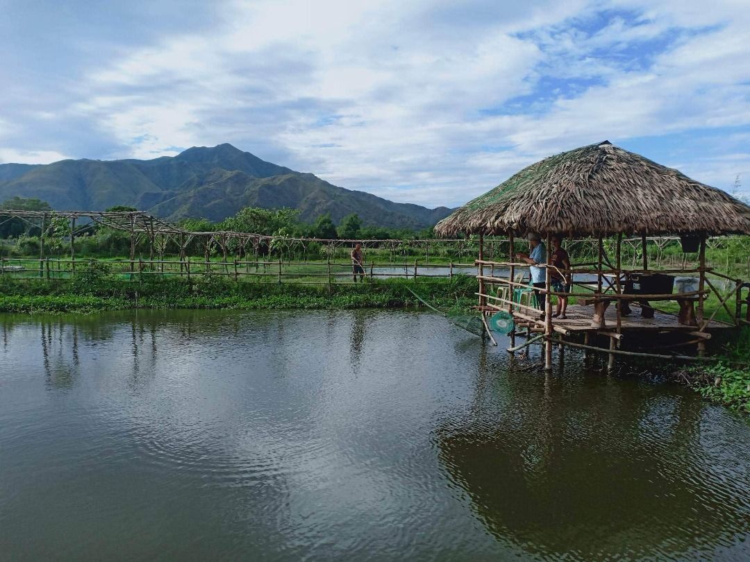 Farm lot for sale at San Antonio, Zambales with mango trees and