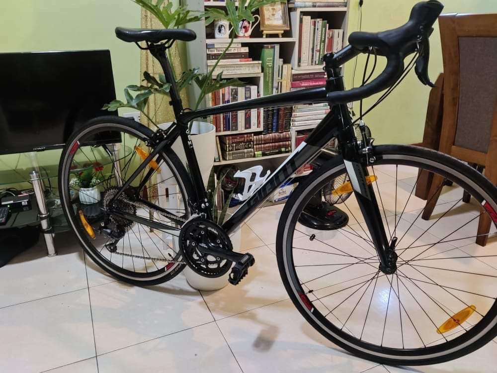 Giant contend sale 3 2018