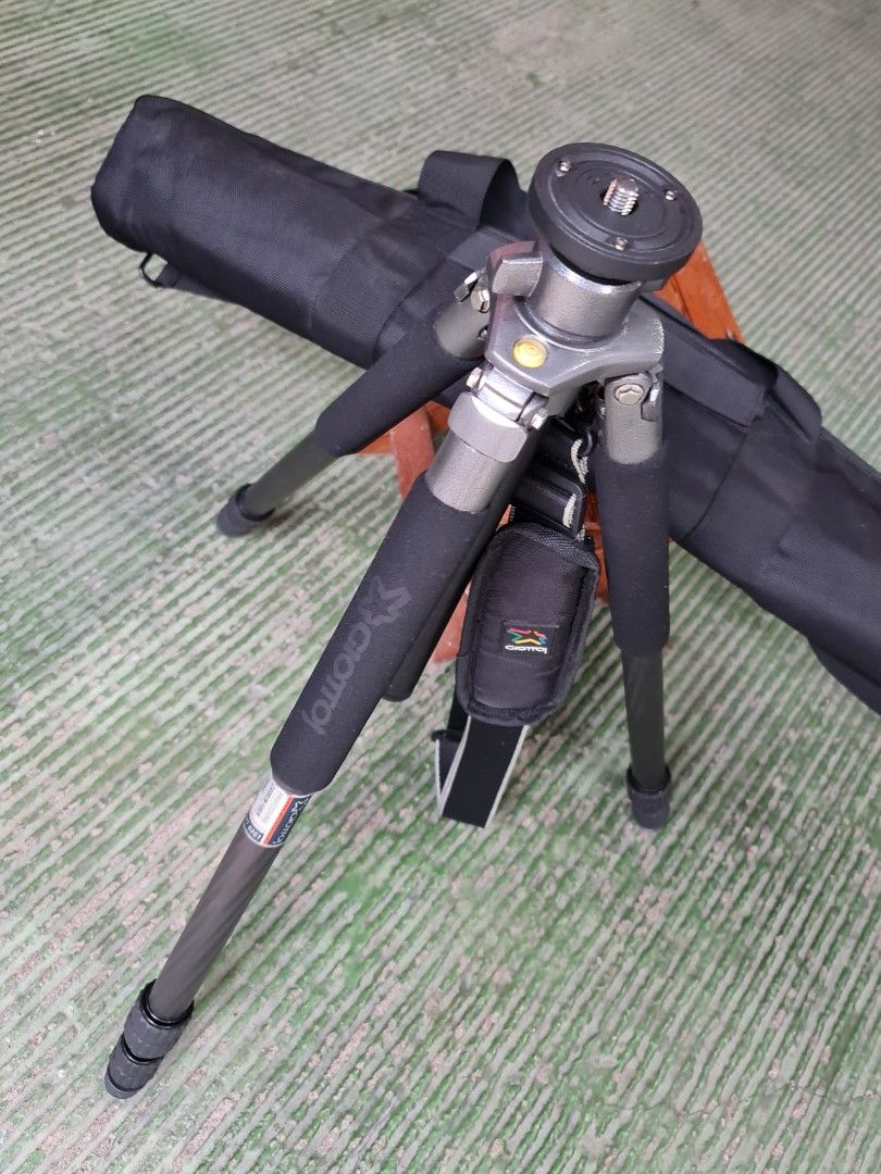 Giottos Professional Carbon Fiber Tripod and Heavy Duty Ball Head