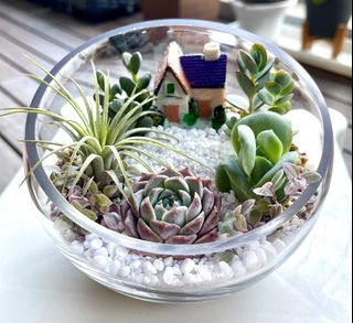 (Category: ) located in . Submitted by bloomrise (Listing ID 1214650578, Image 1). Description: .
