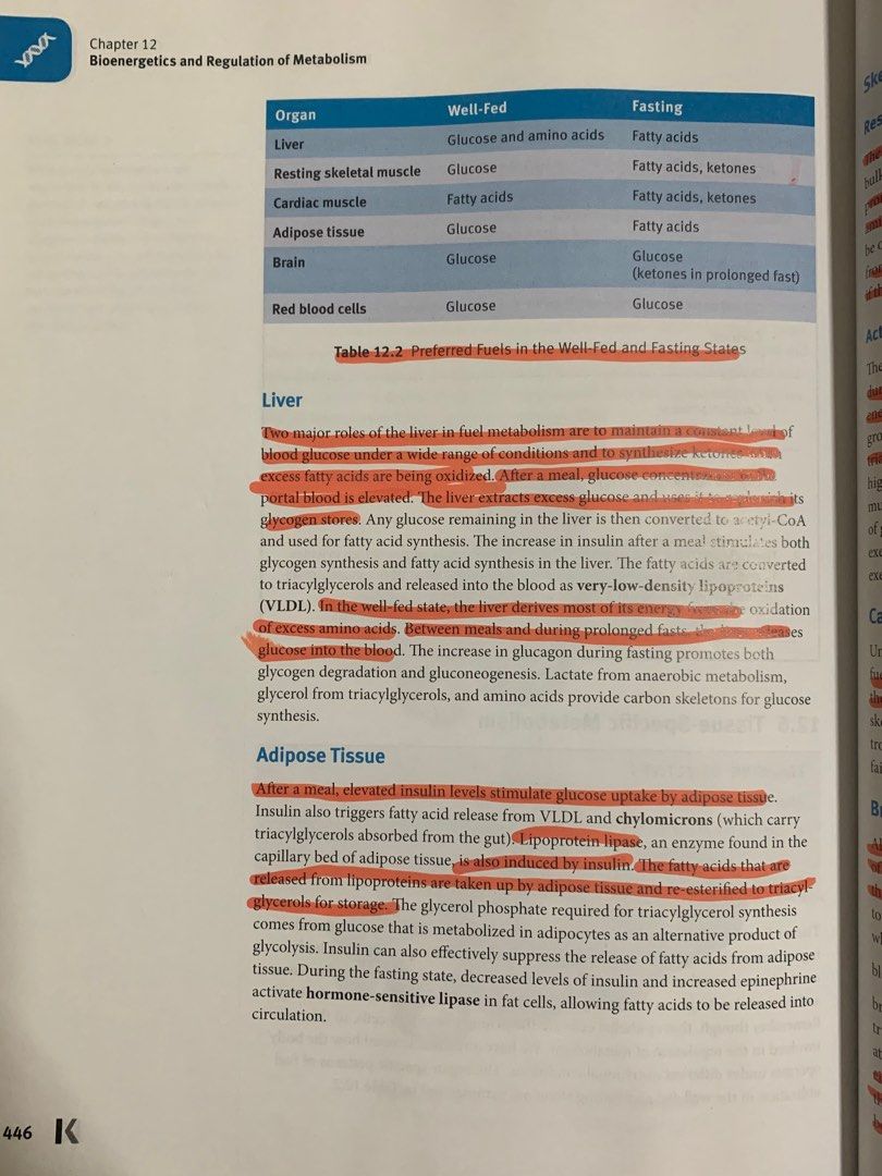 Kaplan MCAT Biochemistry Review (2020-2021), Hobbies & Toys, Books ...