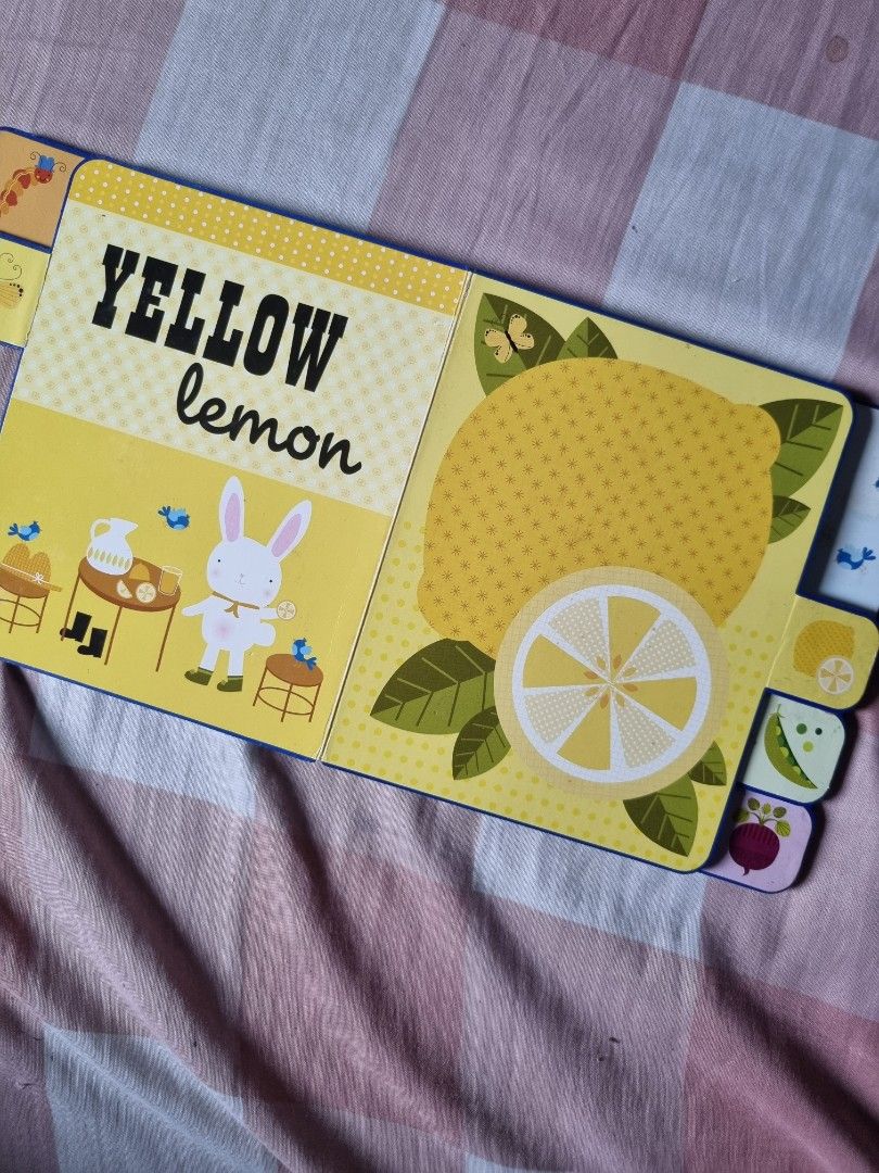 Learn Colors Buku Edukasi Anak Mengenal Warna dalam Bahasa Inggris