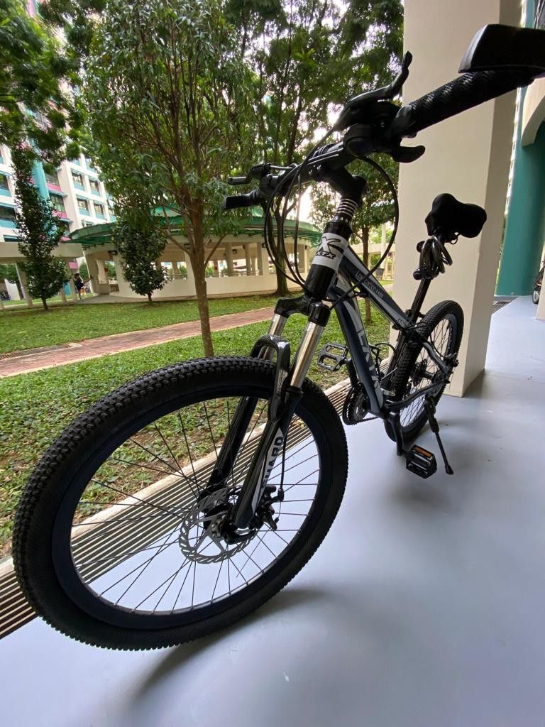 Bici Eléctrica Clasico Plateado aro 20 – Smart Bicis y Motos