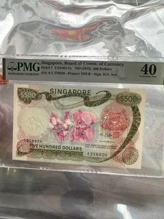 orchid $500
