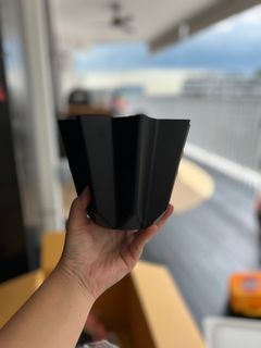 Pandoro mold