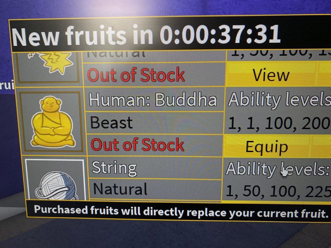 BLOX FRUITS Human: Buddha, 其他, 其他- Carousell